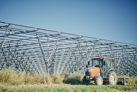畑の上に太陽光パネルを設置して農業と発電を同時に行うソーラーシェアリング